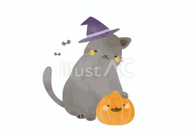 かわいい黒猫とハロウィンのかぼちゃ ハロウィーン,秋,動物のイラスト素材
