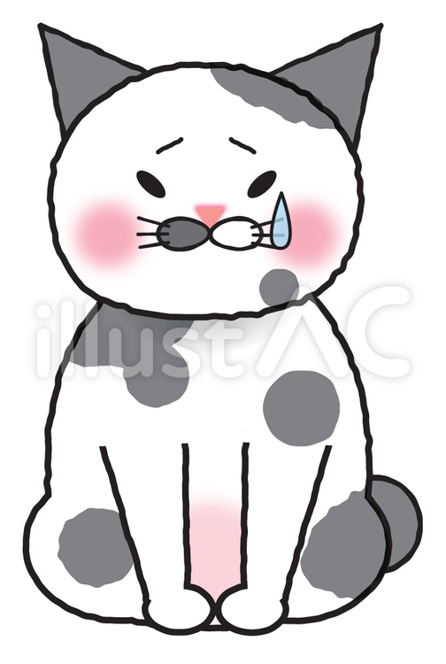 ひげねこ　改訂版　悲しい 猫,おっさん,悲しいのイラスト素材