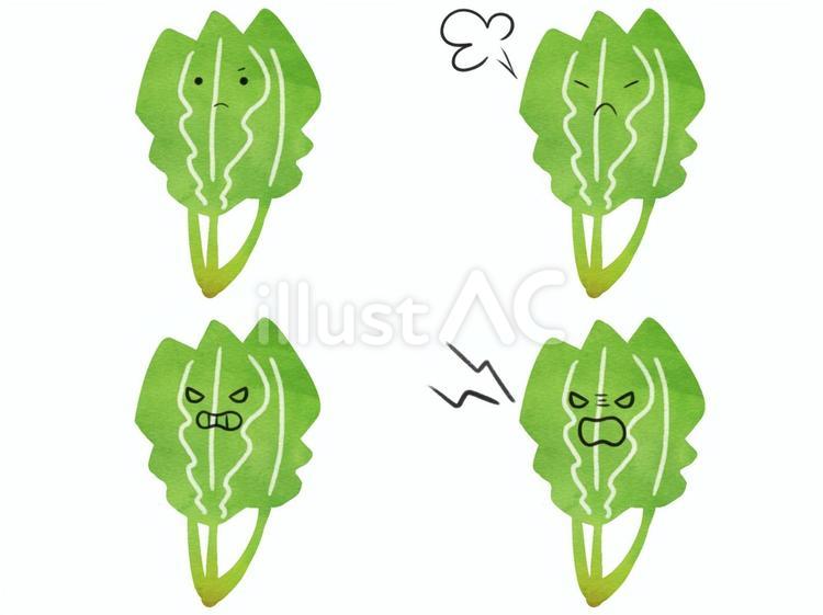 野菜のキャラの表情セット　怒　ほうれん草 ほうれん草,野菜,キャラクターのイラスト素材