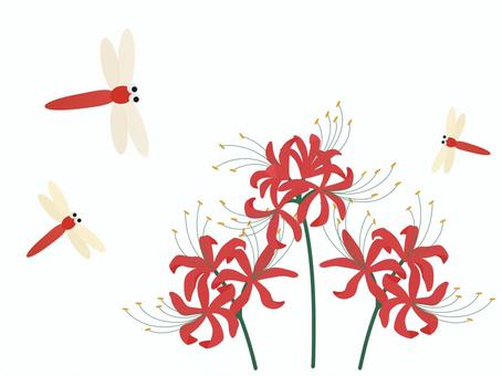 彼岸花と赤とんぼ 彼岸花,赤,とんぼ,秋,花,植物,生き物,虫,挿絵,ワンポイントのイラスト素材