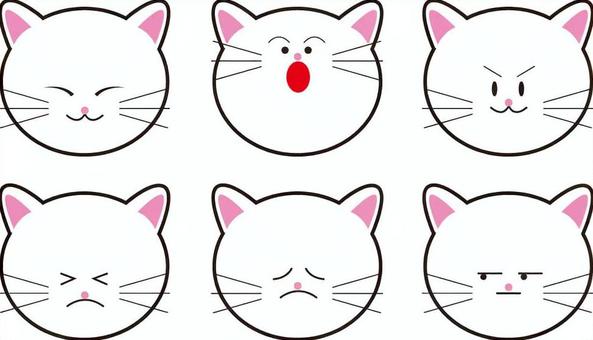 Illustration, cat, expression, laugh, 