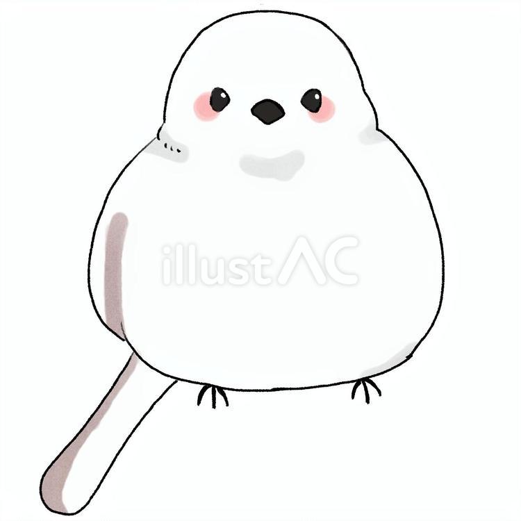 シマエナガ シマエナガ,鳥,生き物のイラスト素材