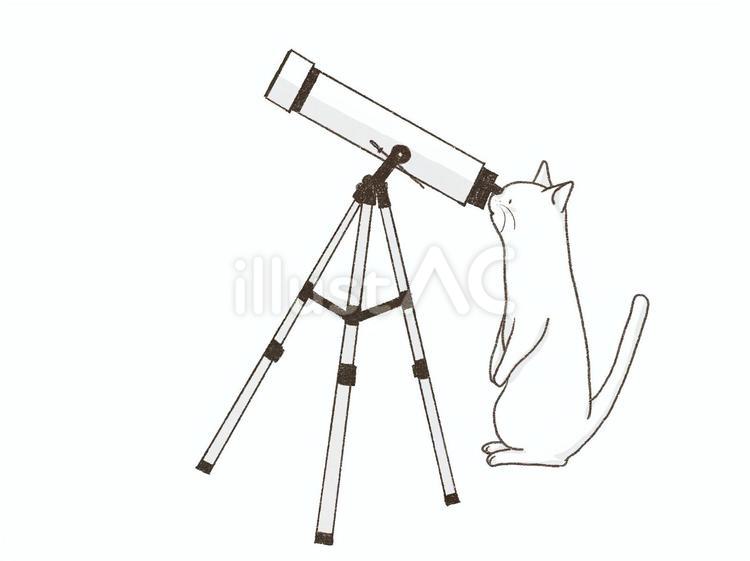 天体観測をする猫 猫,動物,天体観測のイラスト素材