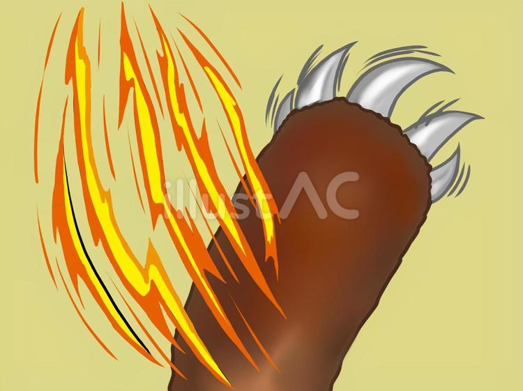 Free Vectors bear claw marks