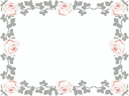 핑크 장미 프레임, 장미, 포도 나무, 잎, JPG 및 PNG