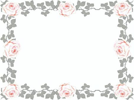 Pink rose frame, rose, vine, leaf, JPG and PNG