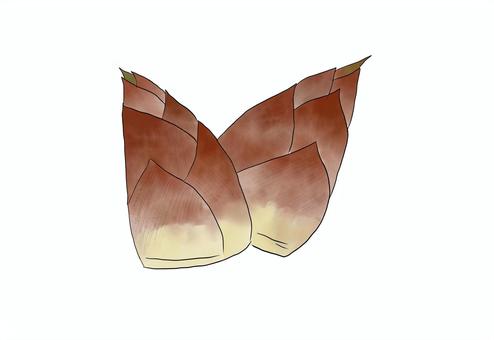 たけのこ たけのこ,筍,食べ物,水彩,植物のイラスト素材