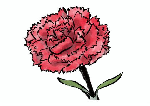 Diagonal red carnation (ink ink), قرنفل, زهرة, مصنع, JPG, PNG and AI