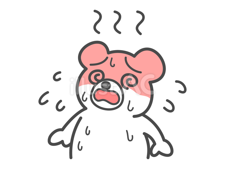 熱中症の白熊 白熊,熊,動物のイラスト素材