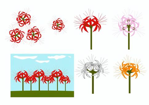 彼岸花セット 彼岸花,曼珠沙華,植物,花,カラー,シンプル,ベクターのイラスト素材