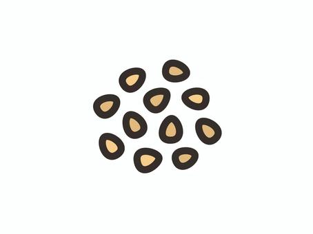 Sesame Sesame