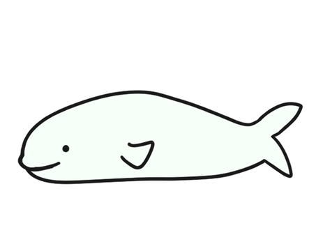 ベルーガ　シンプル　挿絵イラスト ベルーガ,生き物,動物,イルカ,笑顔,挿絵,かわいい,顔,白黒,イラストのイラスト素材