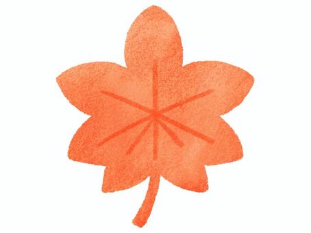 赤のもみじ 紅葉,もみじ,秋,植物,葉っぱ,落ち葉,葉,木,9月,10月のイラスト素材