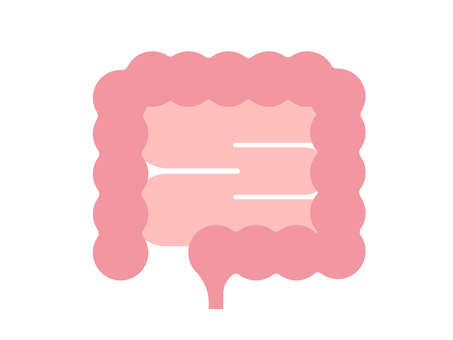 大腸のイラスト 大腸,内臓,臓器,健康,消化器官,医療,医学のイラスト素材