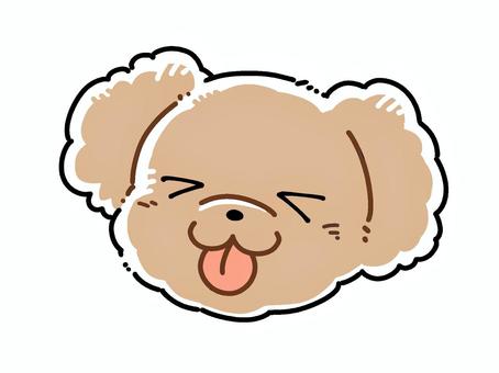 Poodle A10, JPG and PNG Poodle A10, dog, animal, cut, JPG and PNG