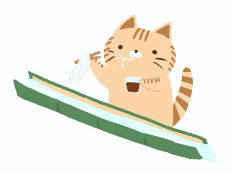 流しそうめんを食べる猫 流しそうめん,そうめん,猫,夏,竹,食事,茶トラのイラスト素材
