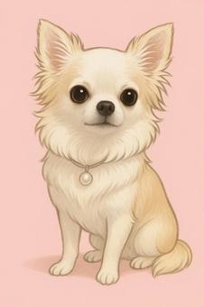 ロングコートチワワ ロングコートチワワ チワワ,ちわわ,小型犬,ペット,犬,可愛い,癒しのイラスト素材