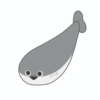 サカバンバスピス サカバンバスピス,古生物,化石,魚類,絶滅生物,海,生物のイラスト素材