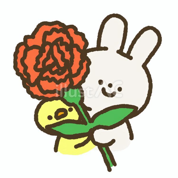 カーネーションを持つうさぎとひよこ 母の日,カーネーション,お母さんのイラスト素材