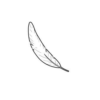 white feather, feathers, white, refreshing, JPG and PNG