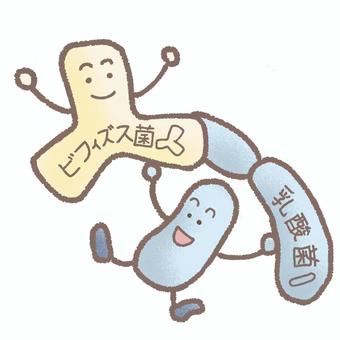 ビフィズス菌と乳酸菌 ビフィズス菌,乳酸菌,菌,大腸菌,腸内環境,腸,腸内,大腸,象徴,善玉菌のイラスト素材