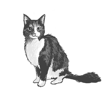 Illustration, cat, monochrome, coat, 