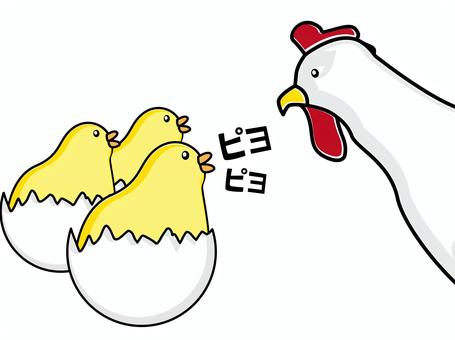 鶏親子 鶏,親子,ヒヨコ,卵,複数,生まれる,子供,かわいい,シンプル,線画のイラスト素材