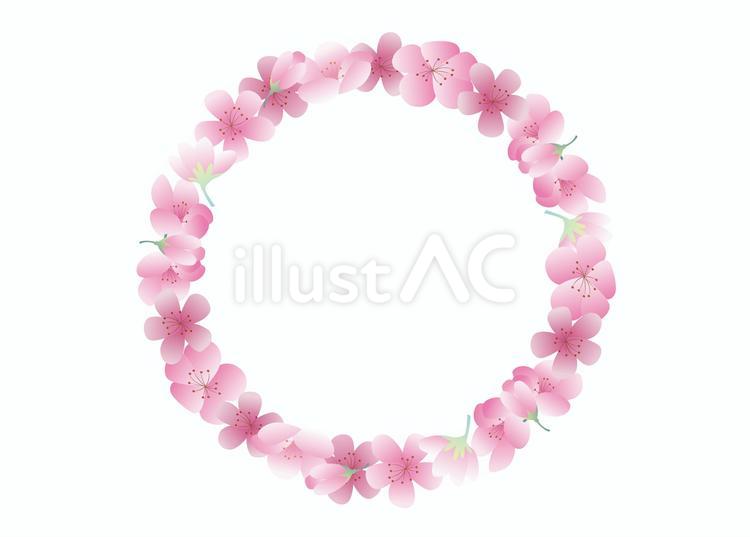 春　桜　花びら　アーチ フレーム,背景,春のイラスト素材