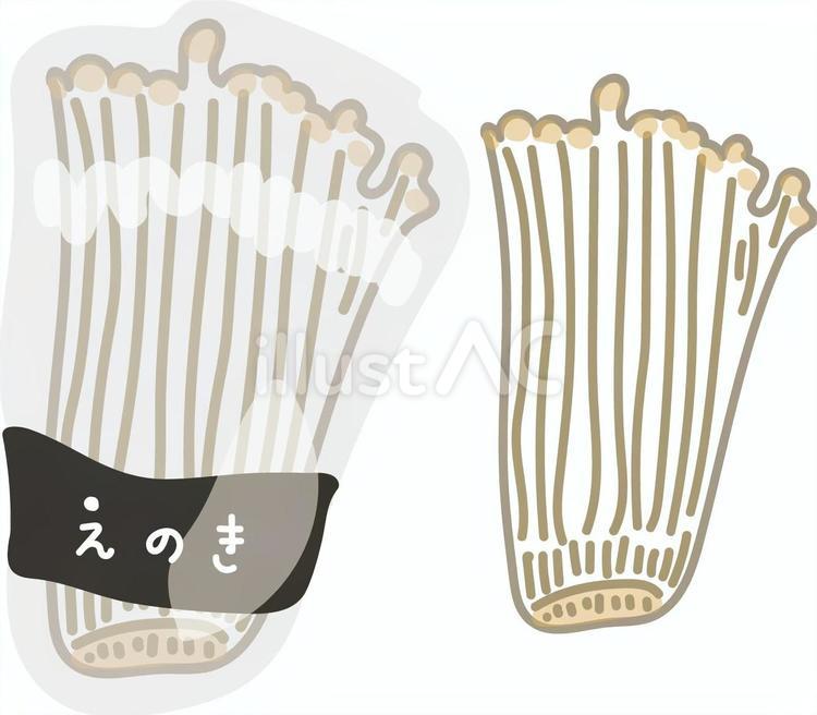 鍋の食材「えのき」 えのき,きのこ,食材のイラスト素材