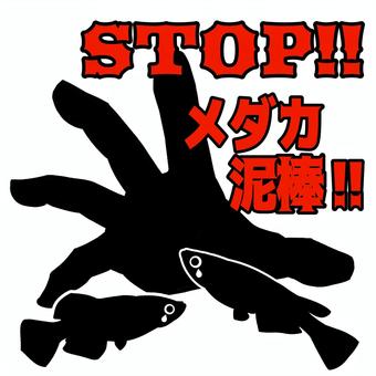 STOP!!メダカ泥棒① メダカ,めだか,改良メダカ,メダカ泥棒,警告のイラスト素材