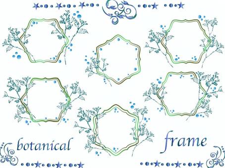 Illustration, वानस्पतिक, ढांचा, खोखले, 