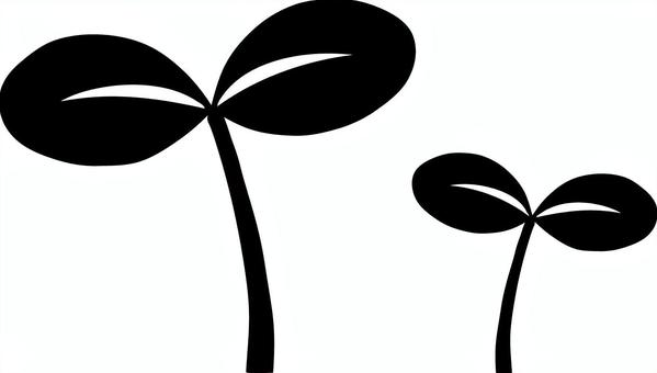 双葉のシルエット 双葉,芽,芽吹き,新芽,葉,植物,芽生え,発芽,若葉,緑のイラスト素材