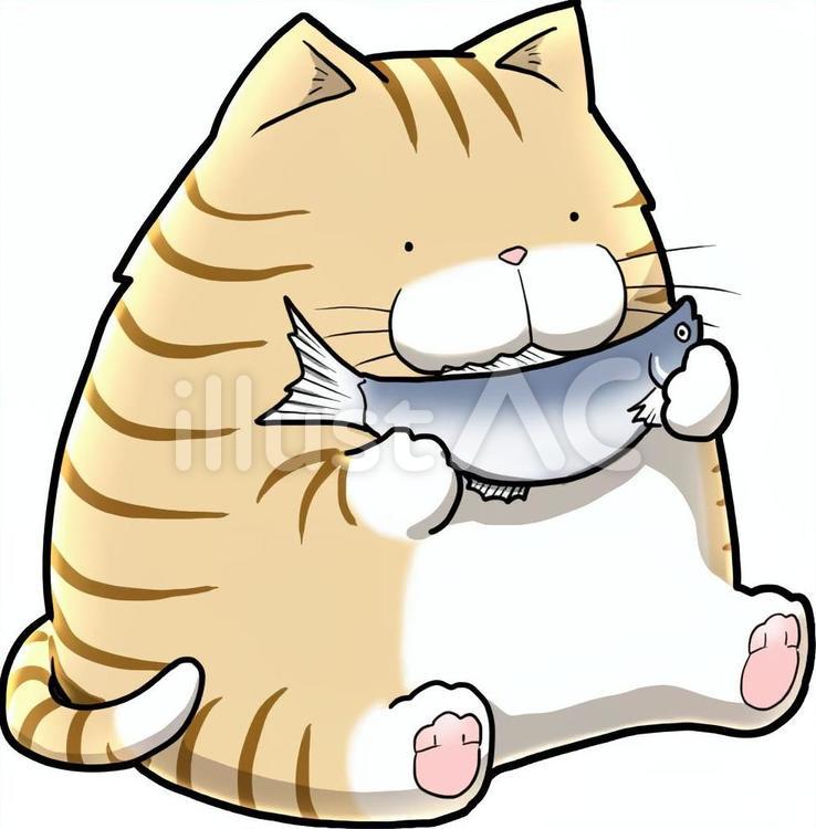 魚を持つネコ ネコ,茶トラ,魚のイラスト素材