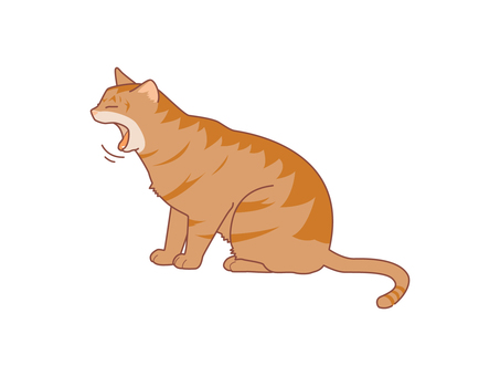 猫のあくび　単品　茶トラ 動物,猫,茶トラ,眠い,眠気,あくび,飽き,つまらない,退屈,暇のイラスト素材