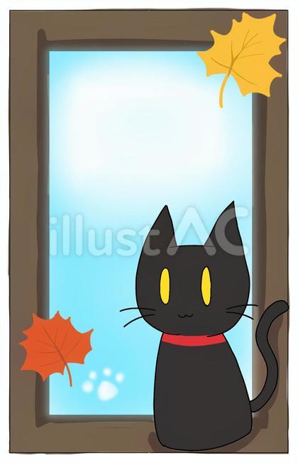 窓際の秋の黒猫