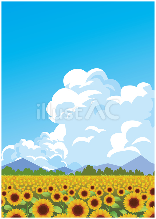 夏のひまわり畑風景 夏,夏季,ひまわりのイラスト素材