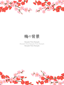 梅の花のフレーム、背景10 梅,水彩,手描き,花,フレーム,背景,梅花,和,和風,和柄のイラスト素材