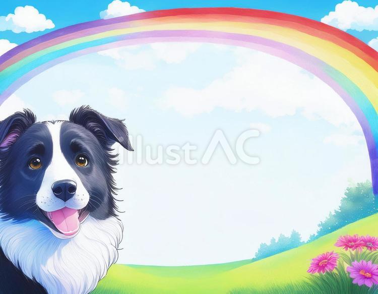 虹とボーダーコリー　フレーム　素材 犬,フレーム,動物のイラスト素材