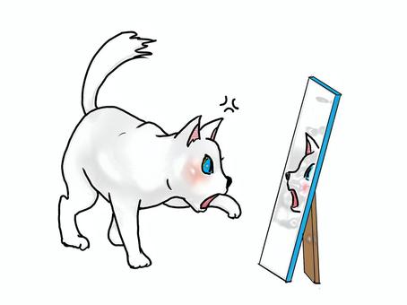 あんた、誰よっ! あんた、誰よっ! 動物,ネコ,白猫,鏡,怒り,しっぽ,全身,手書きのイラスト素材