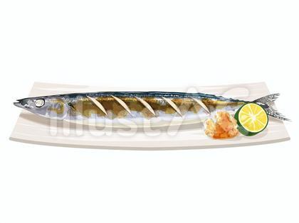 秋刀魚の塩焼き