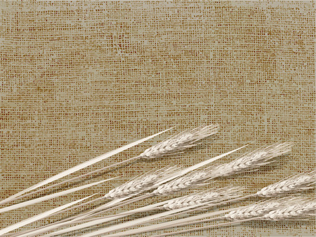 小麦色の麦穂と麻布の背景　017 麦穂,小麦色,リアル,ナチュラル,お洒落,自然,植物,大人っぽい,枠,背景のイラスト素材