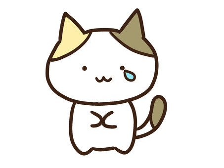 失敗して涙を流して泣くかわいい三毛猫 失敗して涙を流して泣くかわいい三毛猫 涙,泣く,悲しいのイラスト素材