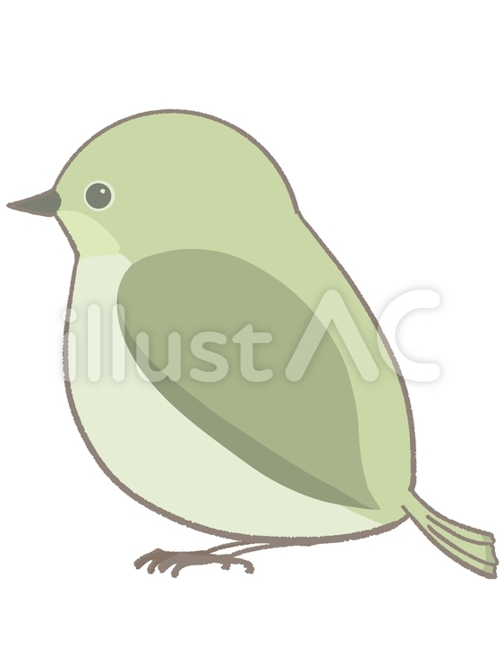 横を向いているメジロのイラスト　線あり メジロ,鳥,かわいいのイラスト素材
