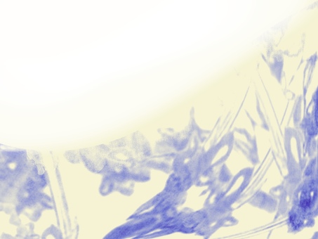 淡彩ステンドグラス-yebl03 イエロー,ブルー,レトロ,ノスタルジック,光,淡色,透明感,ステンドグラス,グラデーション,淡彩のイラスト素材