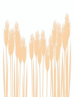 小麦色の麦穂シルエット　mugi027 麦穂,小麦色,リアル,シルエット,ナチュラル,お洒落,自然,植物,大人っぽい,枠のイラスト素材