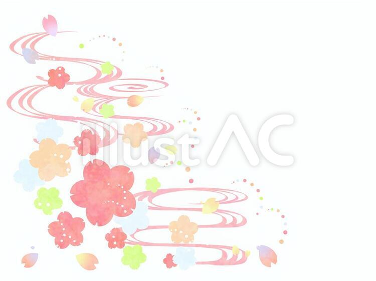 桜 15 桜,和楓,花のイラスト素材