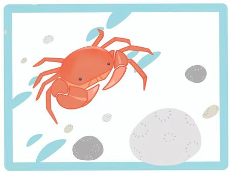 カニ・石・自然 自然,カニ,生き物,アイコン,川,清流,石,沢蟹,水色,赤のイラスト素材