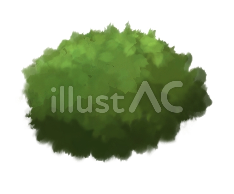 庭木 木,緑,こんもりのイラスト素材