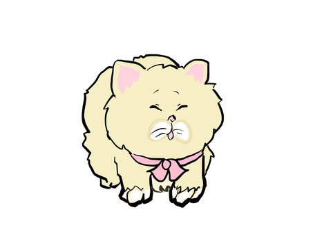 モコモコの猫
