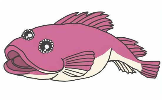 かわいいお魚ガンコ 魚,ガンコ,かわいい,ハナタラシ,海水魚,食用,イラスト,線画のイラスト素材